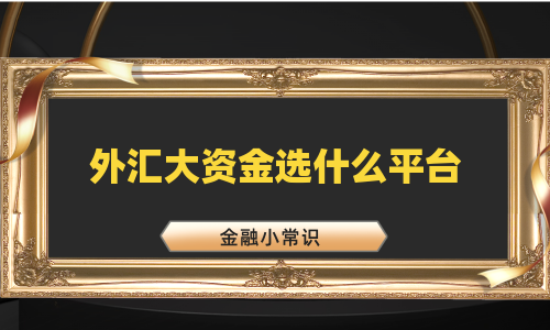 外汇大资金选什么平台