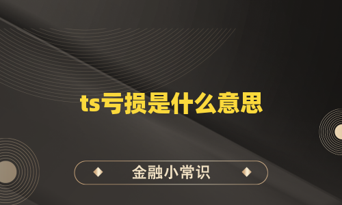 ts亏损是什么意思