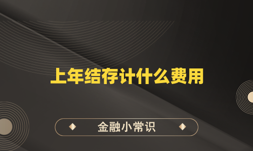 上年结存计什么费用