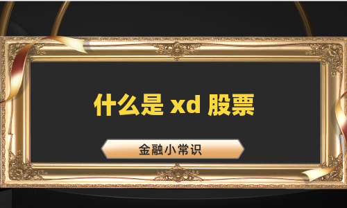 什么是 xd 股票