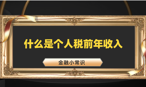 什么是个人税前年收入