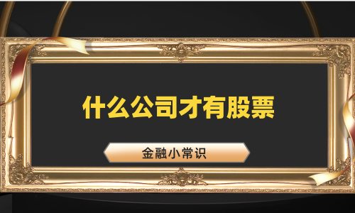 什么公司才有股票