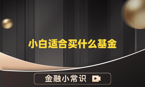 小白适合买什么基金
