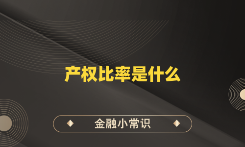 产权比率是什么
