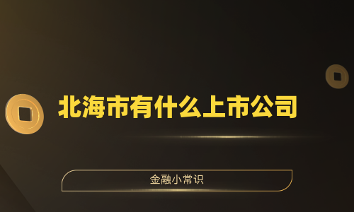 北海市有什么上市公司