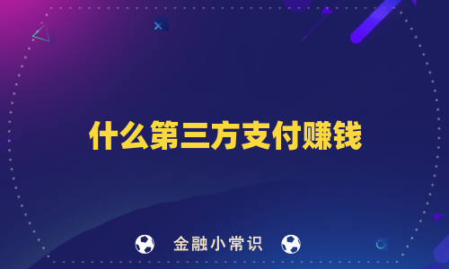 什么第三方支付赚钱