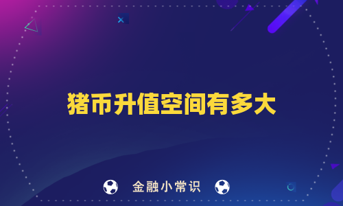 猪币升值空间有多大