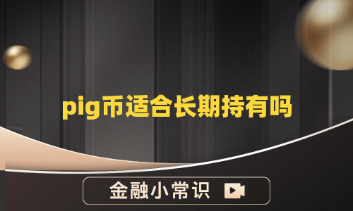 pig币适合长期持有吗