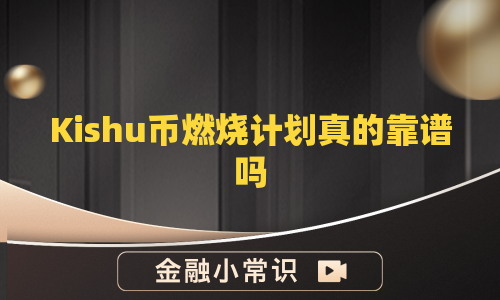 Kishu币燃烧计划真的靠谱吗