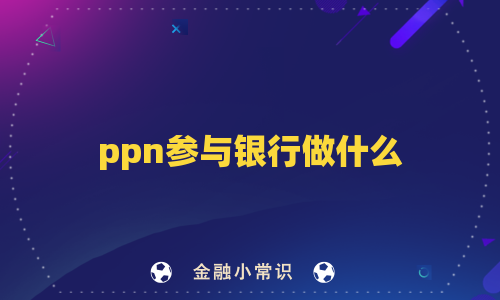 ppn参与银行做什么