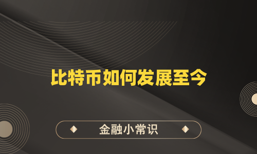 比特币如何发展至今
