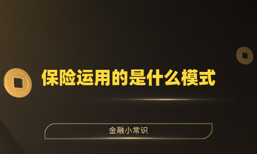 保险运用的是什么模式