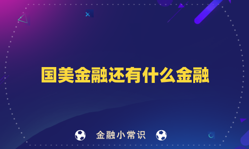 国美金融还有什么金融