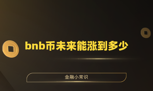bnb币未来能涨到多少