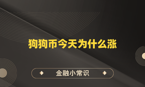 狗狗币今天为什么涨