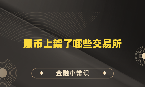 屎币上架了哪些交易所