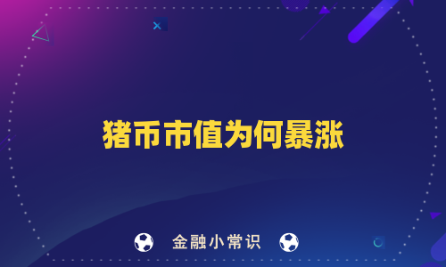 猪币市值为何暴涨