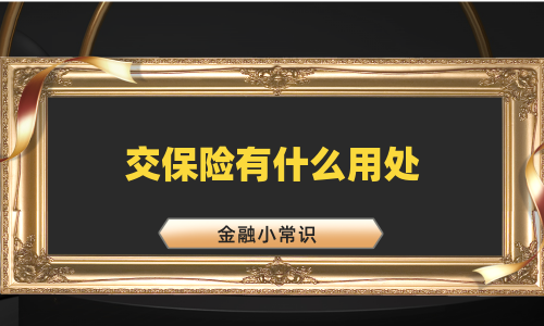 交保险有什么用处