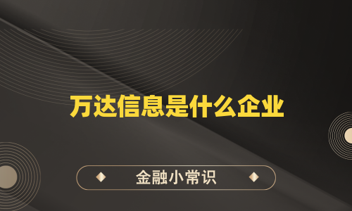 万达信息是什么企业