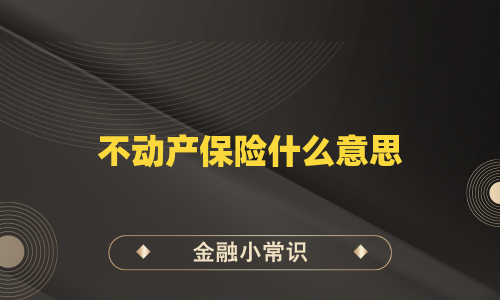 不动产保险什么意思