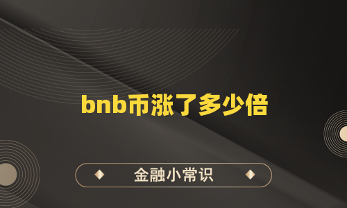 bnb币涨了多少倍