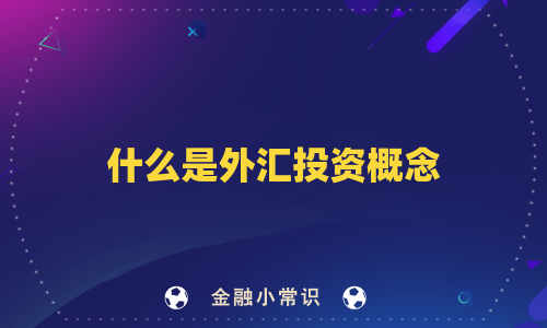 什么是外汇投资概念