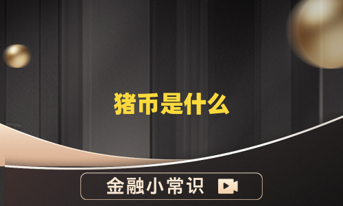 猪币是什么