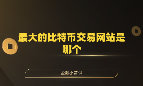最大的比特币交易网站是哪个