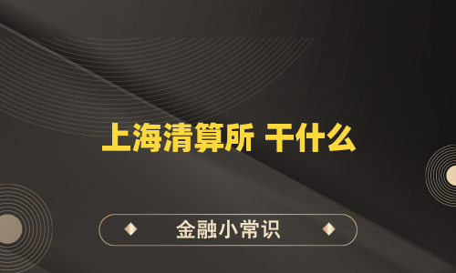 上海清算所 干什么