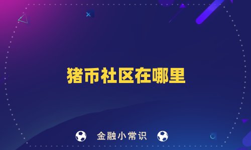 猪币社区在哪里
