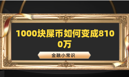 1000块屎币如何变成8100万