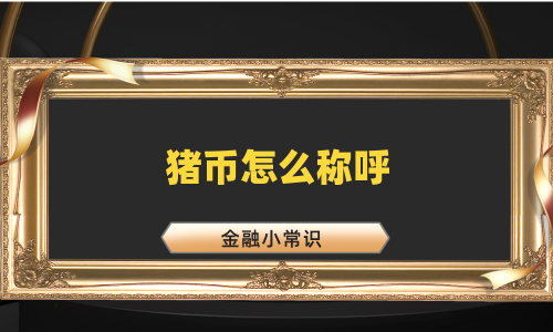 猪币怎么称呼