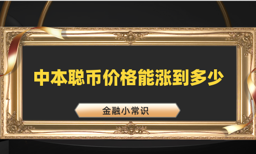 中本聪币价格能涨到多少