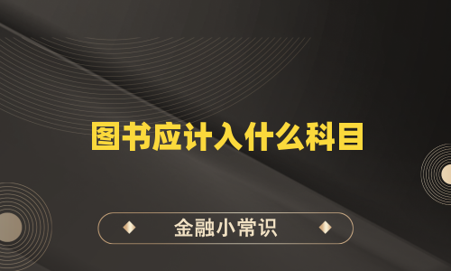 图书应计入什么科目