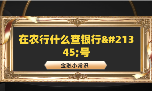 在农行什么查银行卡号