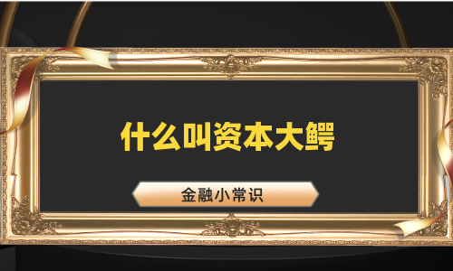 什么叫资本大鳄