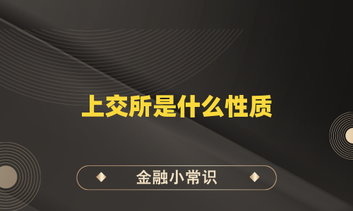 上交所是什么性质