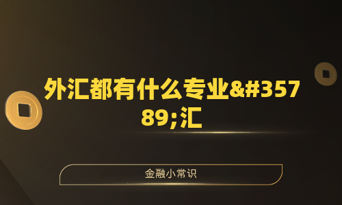 外汇都有什么专业词汇