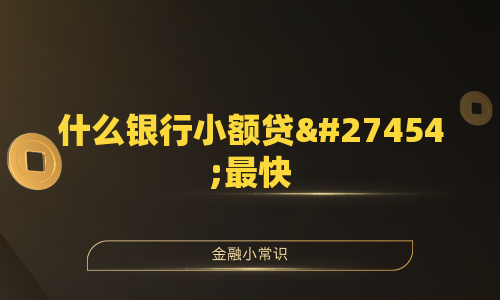 什么银行小额贷款最快