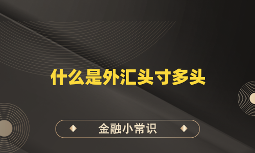 什么是外汇头寸多头