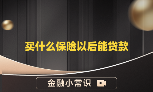 买什么保险以后能贷款