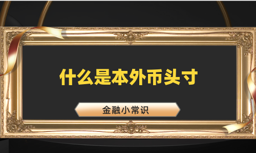 什么是本外币头寸